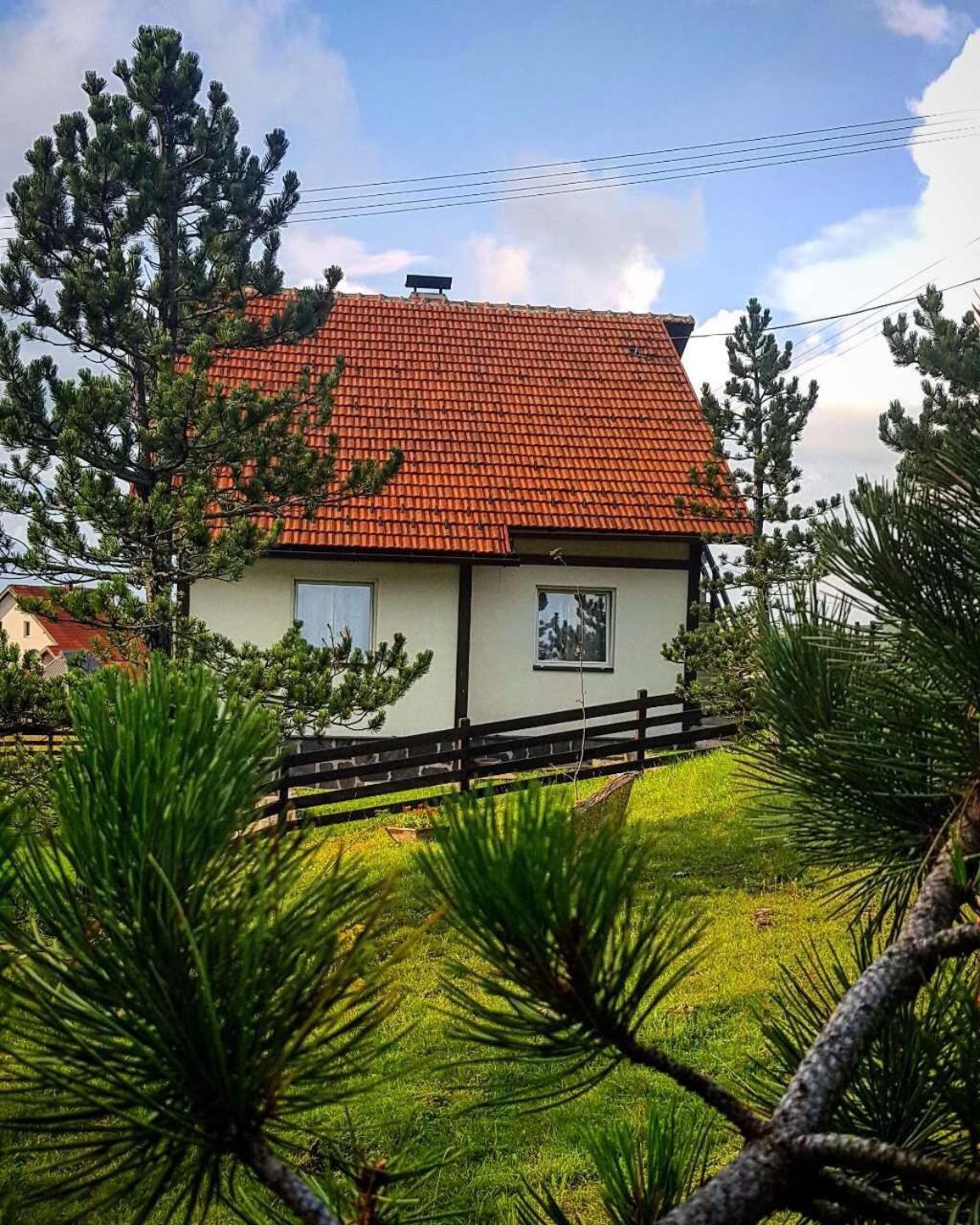 Villa Vila Jela Tornik à Zlatibor Extérieur photo